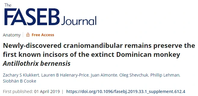 DiveDominicana Story